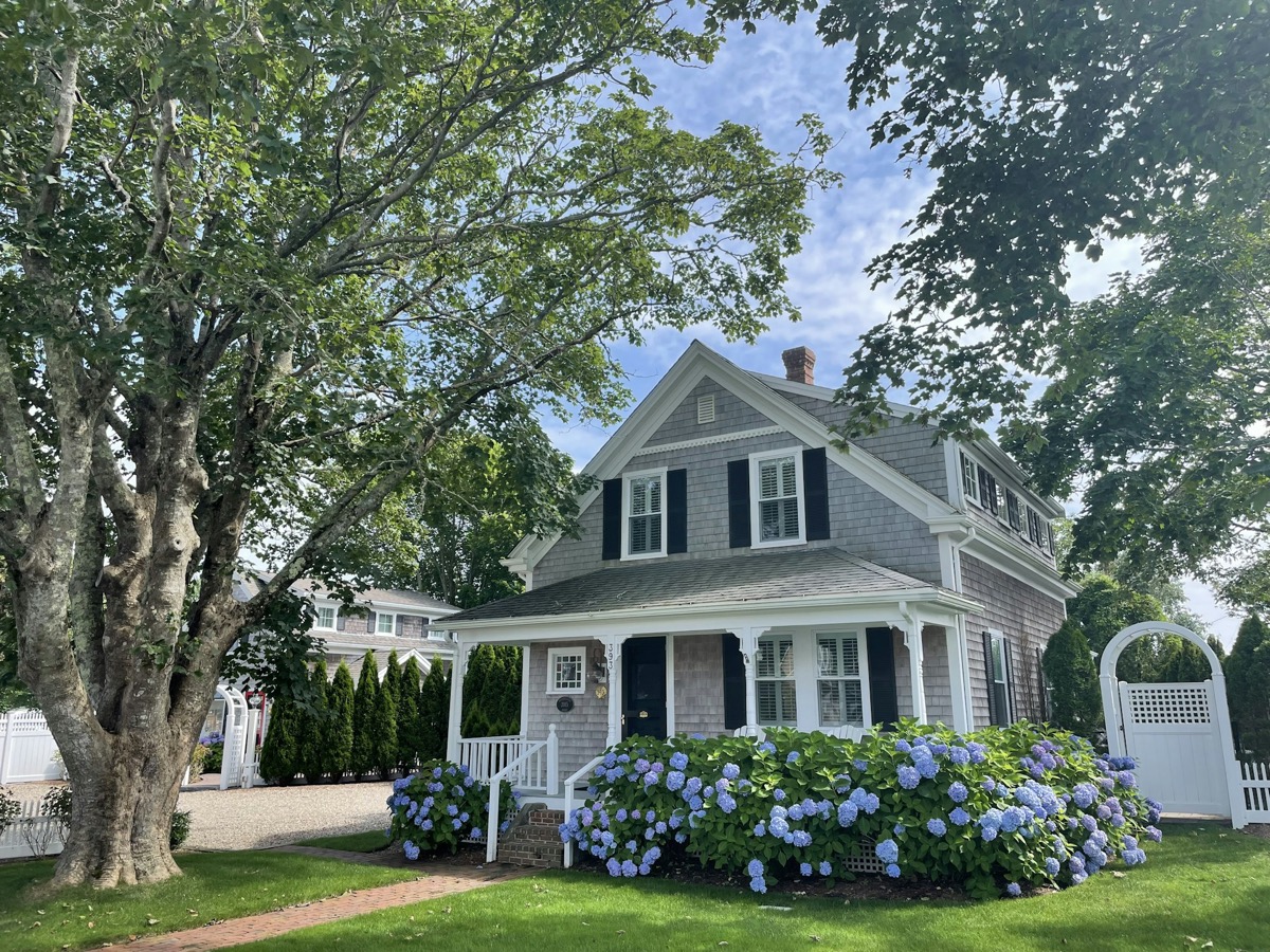 Classic Cape Cod style house with shingled siding and hydrangeas
