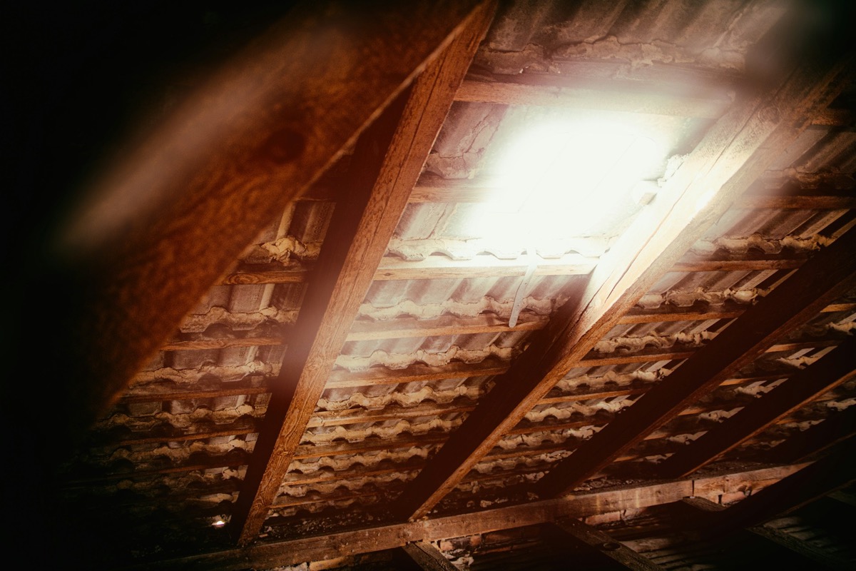 Attic interior showing rafters and insulation