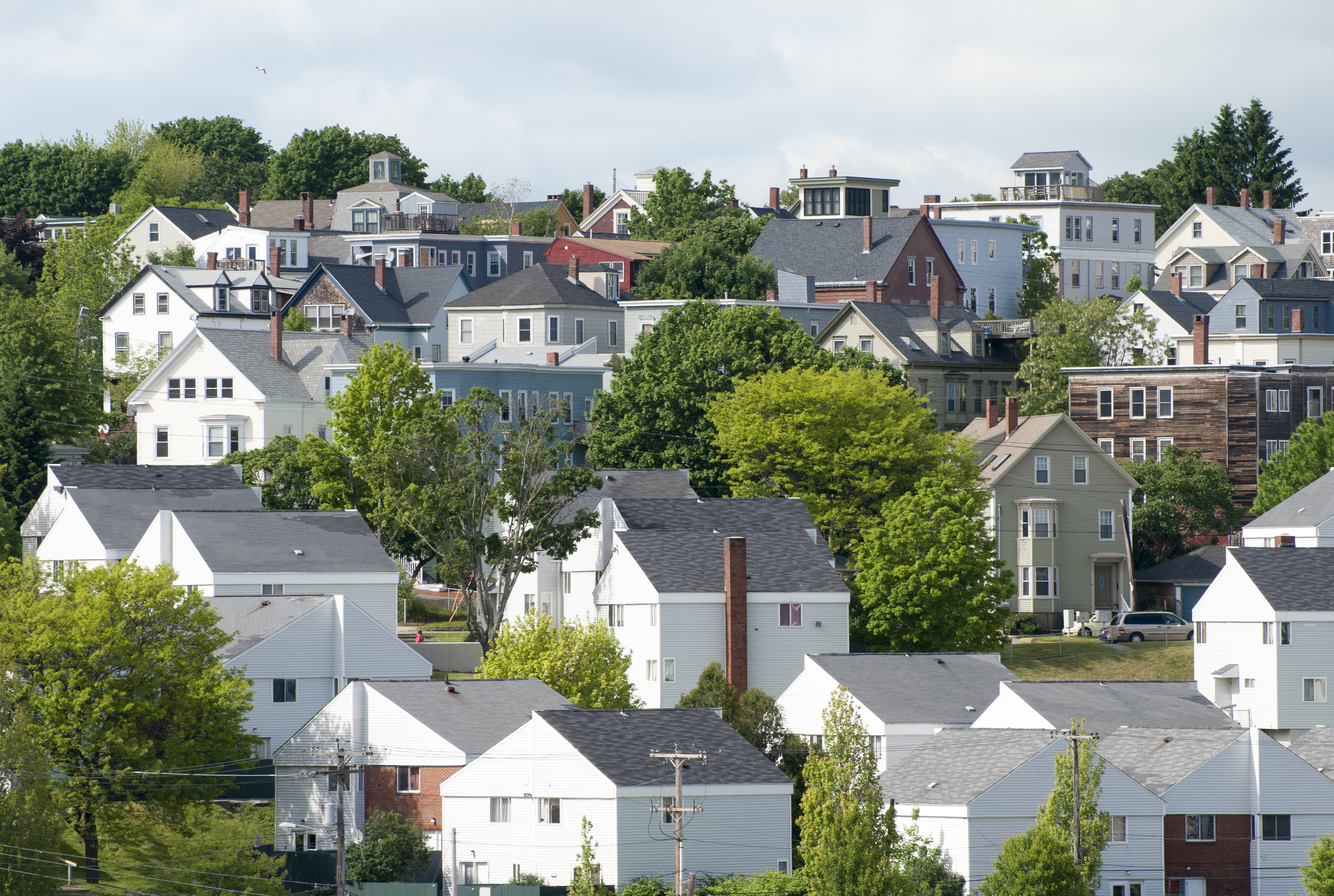 Row of older homes on a Portland Maine street showing typical New England architecture